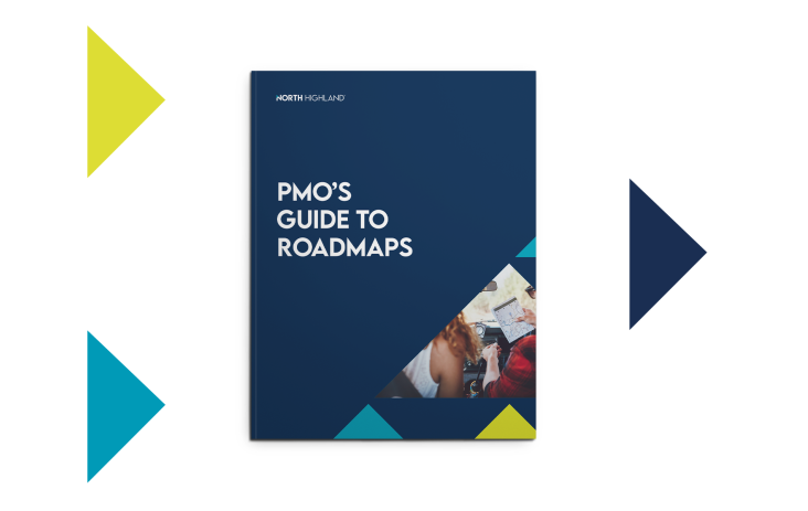 PMO's Guide to Roadmaps